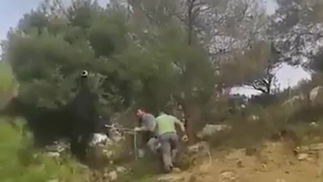 Amazing Saveing Goat