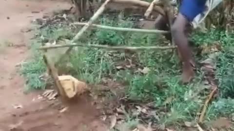 creative