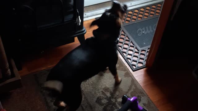 Bubbles misses Toby