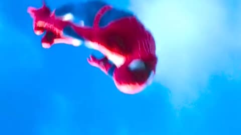 Amazing Spider-Man Full Hd