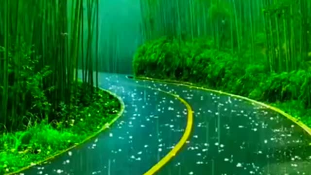 Nature Status | New Whatsapp status | Nature Best Whatsapp status with | Mountain Status