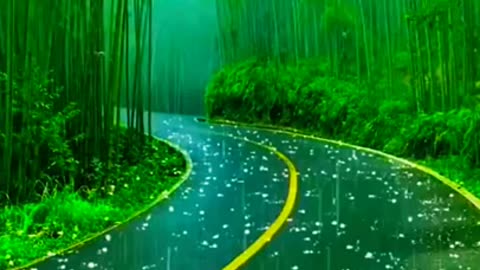 Nature Status | New Whatsapp status | Nature Best Whatsapp status with | Mountain Status