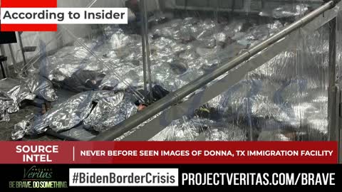 Project Veritas exposes horror of importing votes!!!