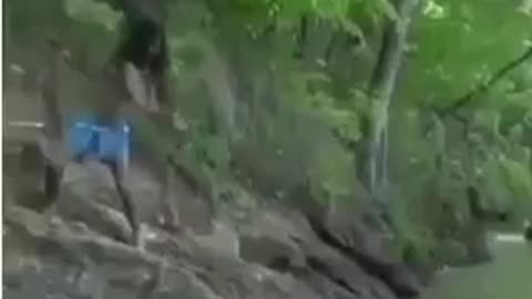 The crocodile try to bit a person and his friend help to save the friend's life