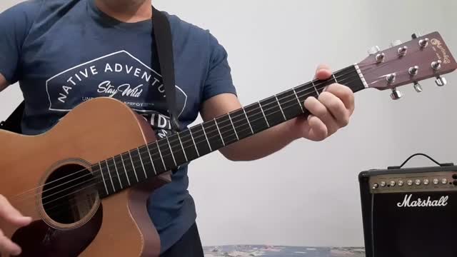 Brain Damage (Pink Floyd Guitar Cover)