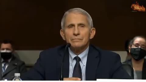 Rand Paul HUMILIATES Dr. Fauci. See his REACTION