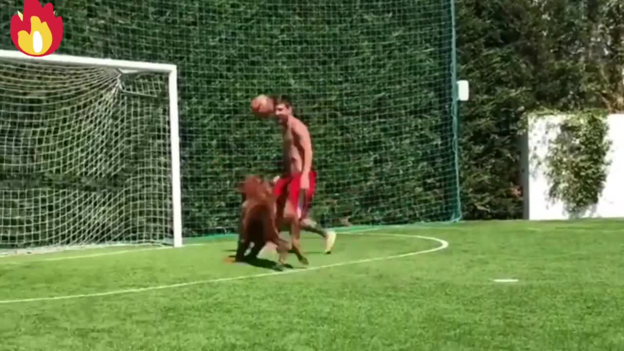 Messi with his huge dog Messi dodges his dog