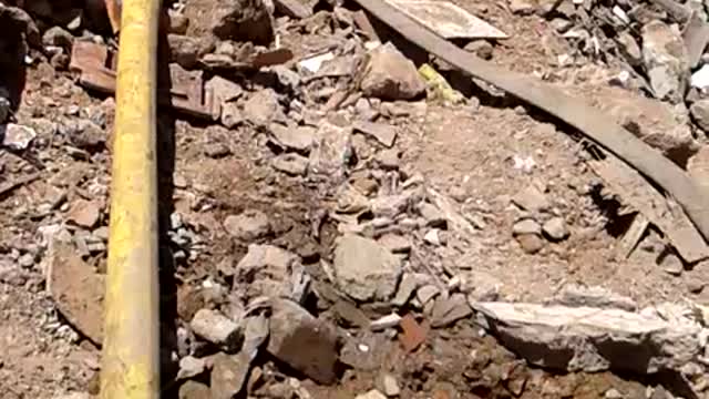 canteiro de obras do Hospital São Luiz em São Caetano SP