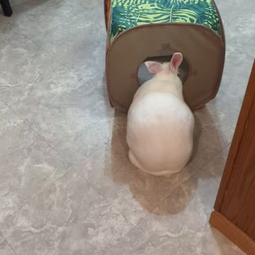 Beautiful Marzanna ❣️