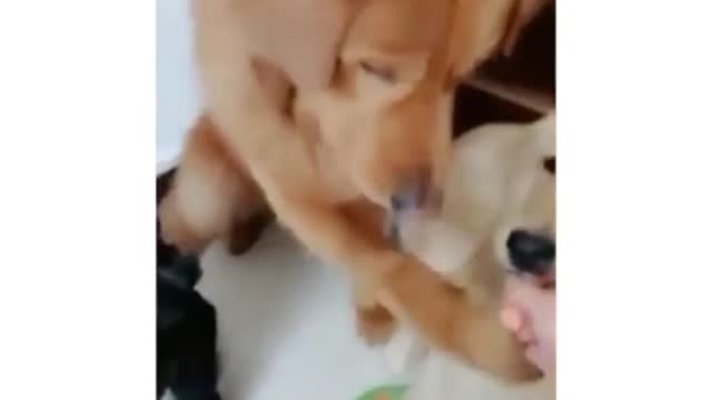 Eat or not