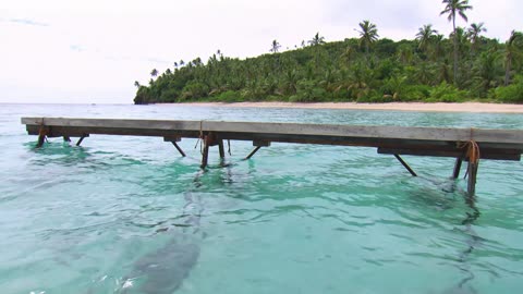 Robinson S19E49