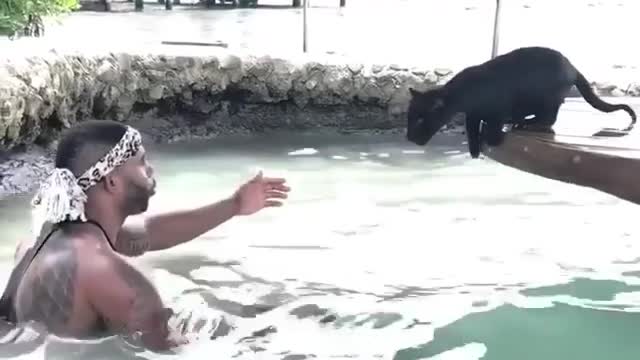 Man takes black panther for swimming lessons ❤