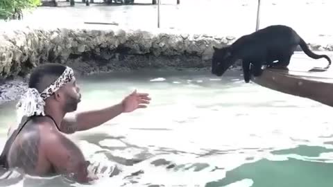 Man takes black panther for swimming lessons ❤