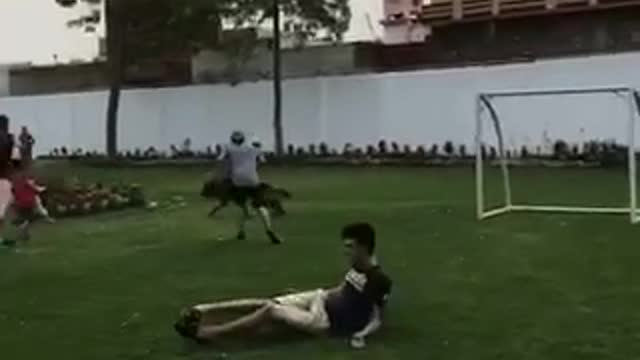 Abbas dog trips owner while running across soccer field