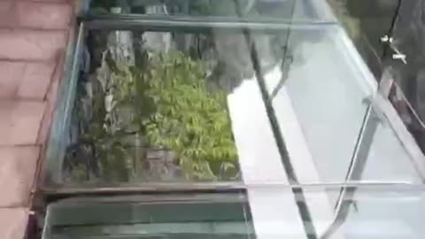 We took the glass bridge