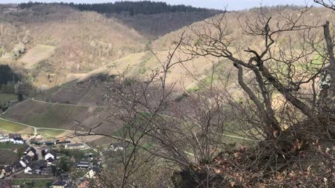 Mayschoss Dernau