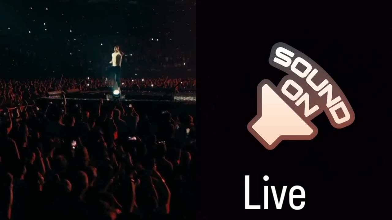 Believer song live concert