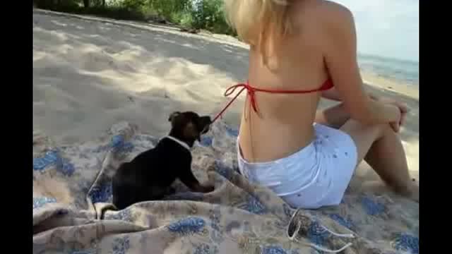 Amazing Funny Videos Accident