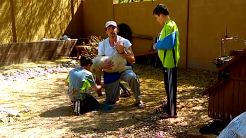 Passover lamb 2016_pt 1 of 2