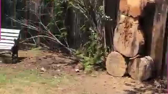 Folks do be throwing… 😀😀