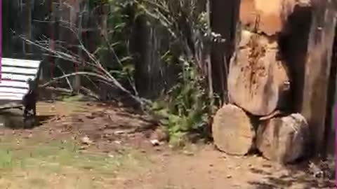 Folks do be throwing… 😀😀