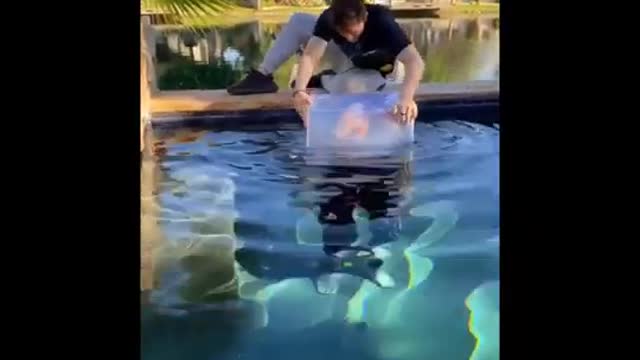 Tik Tok Funny Fail Compilation 009