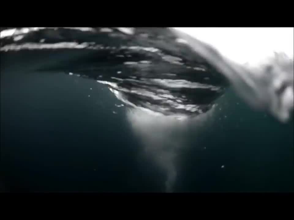 Dangerous Ocean Whirlpoo|!