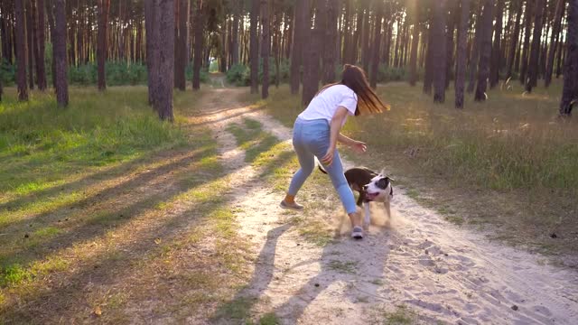 cute dog playing with his owner "HD"