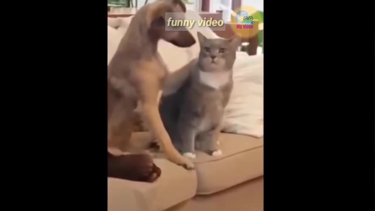 Best Friend in best Animal, good knowledge in our life