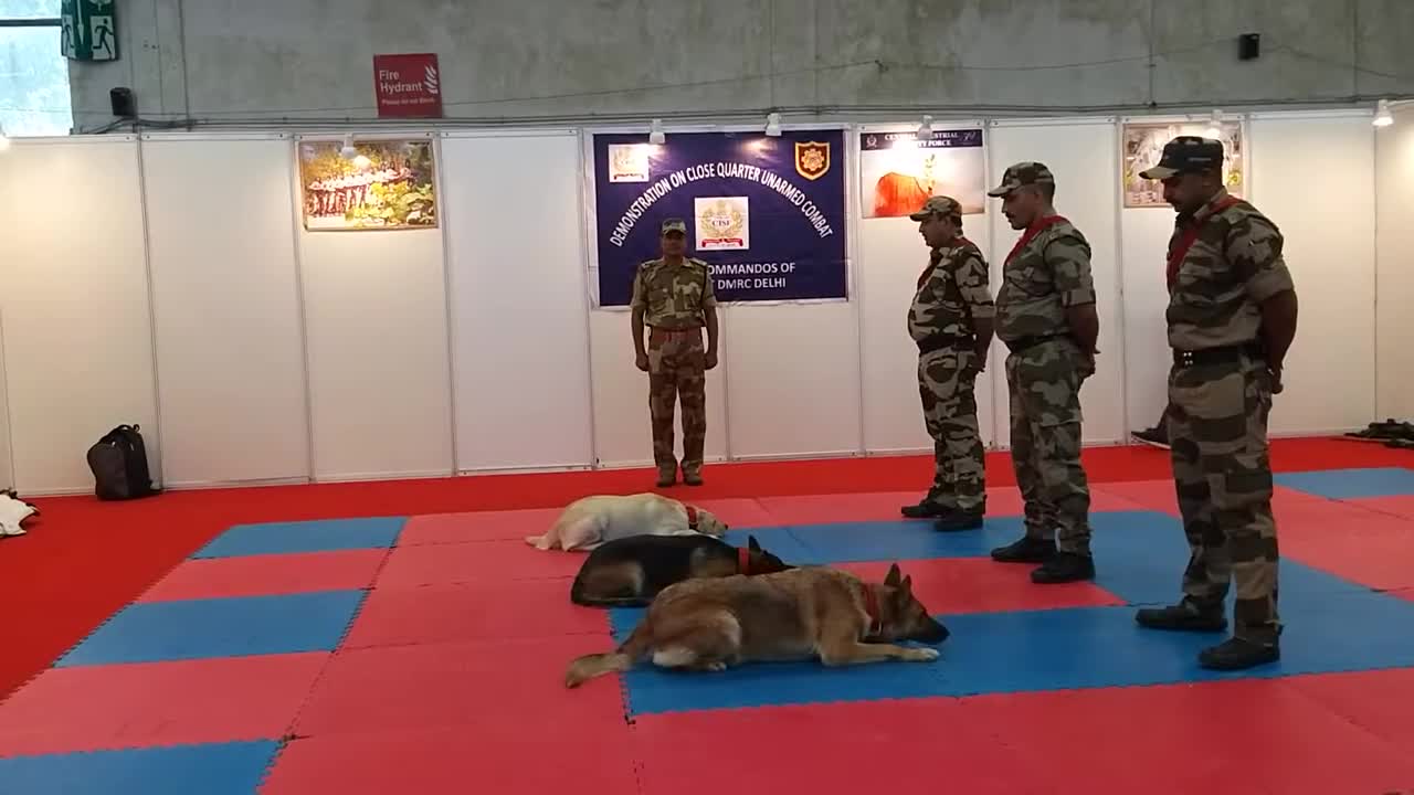 CISF demonstration of Dog squad! Best Dog training