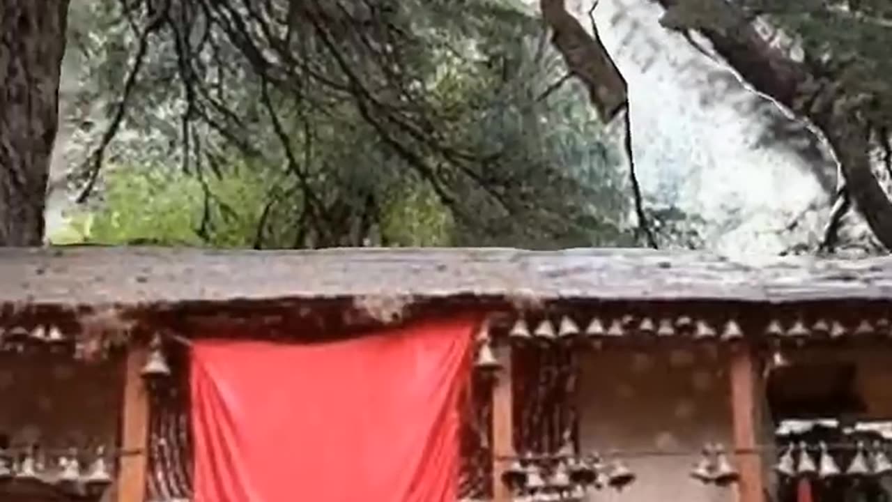 #viral #india #tample #video