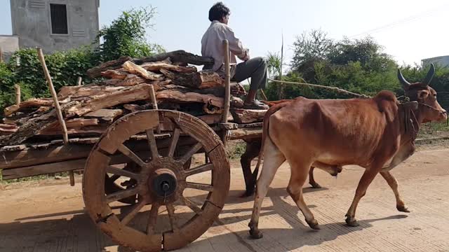 medieval Transportation