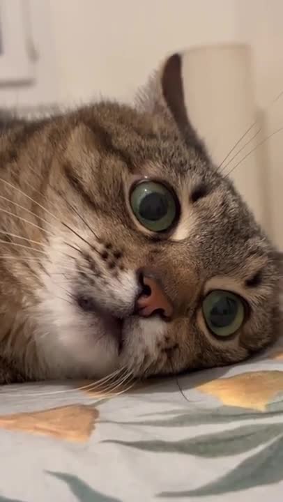 Mood from everything that happens