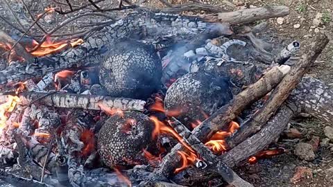 Roasted breadfruit