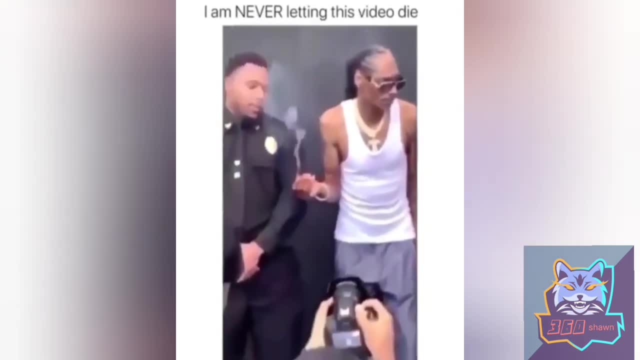 FUNNY HOOD VINES