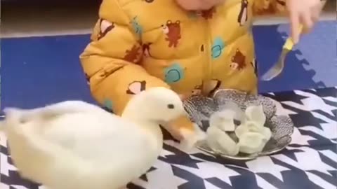 So funny...Babies are bullied by animals -- Baby Cute💝_2