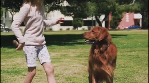 DOG WITH LITTEL ANGEL