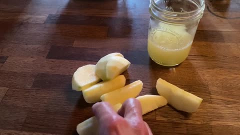 Honeycrisp Apple Slices, Whey and Orange