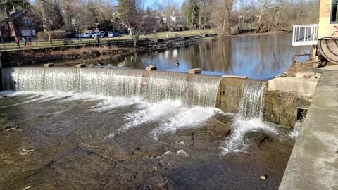 Geese perching on waterfall