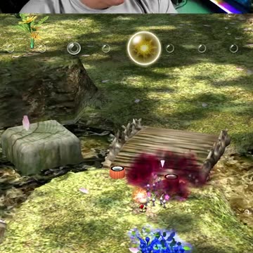 What?!? | Pikmin 2 | game play | episode 9