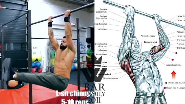 Pull-Ups Workout | Bodyweight Strength Training