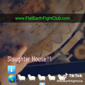 Flat Earth & Australia