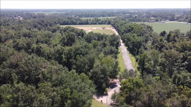 Grape Vinyard in South Alabama