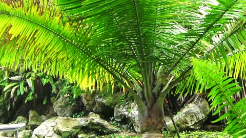 Mounts Botanical Garden of Palm Beach County