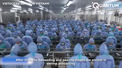 Shrimp Farming and Manufacturing in a $70 Billion Industry