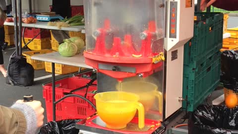 Automatic Orange Juicer