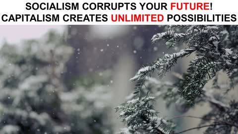 Socialism is the ACID of Your Mind...