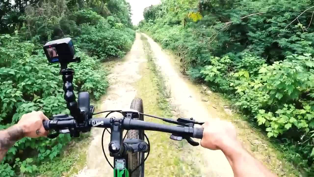 Creepy cannibals crawling among