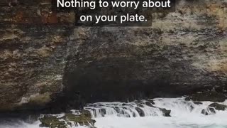 What is your definition of happiness?