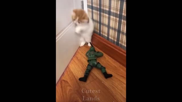 😄 LOL !!! Cute And Funny Pets That Will Making You Laugh 😍Compilation #3